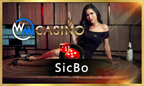 77br jogo s cassino on-line