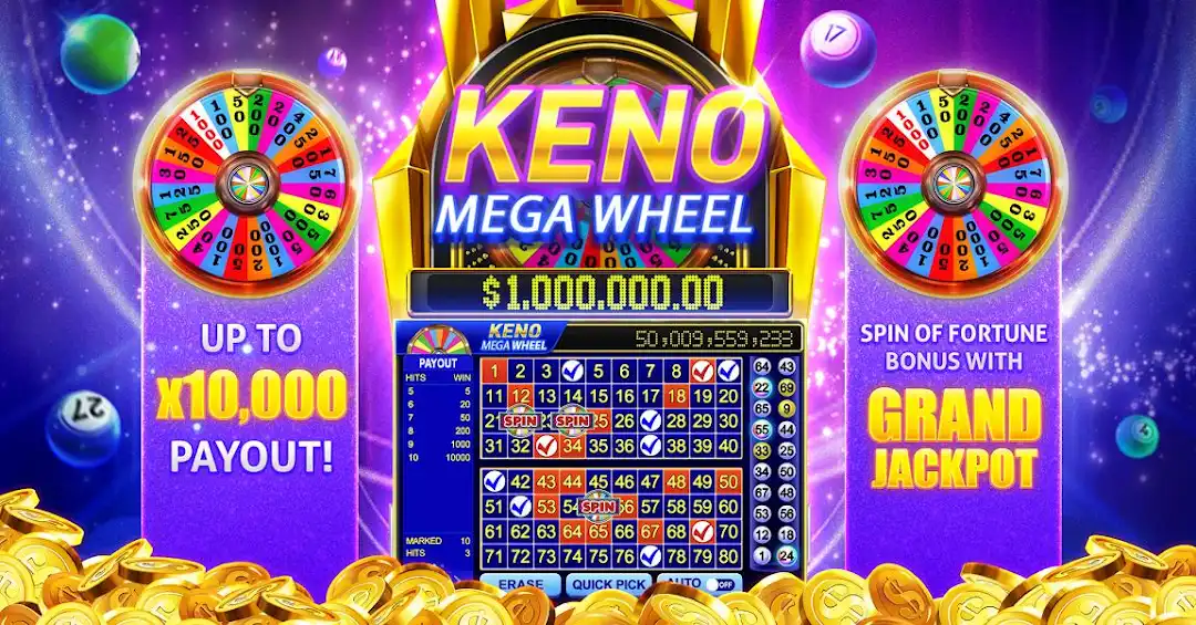 77br betanp cassino entretenimento